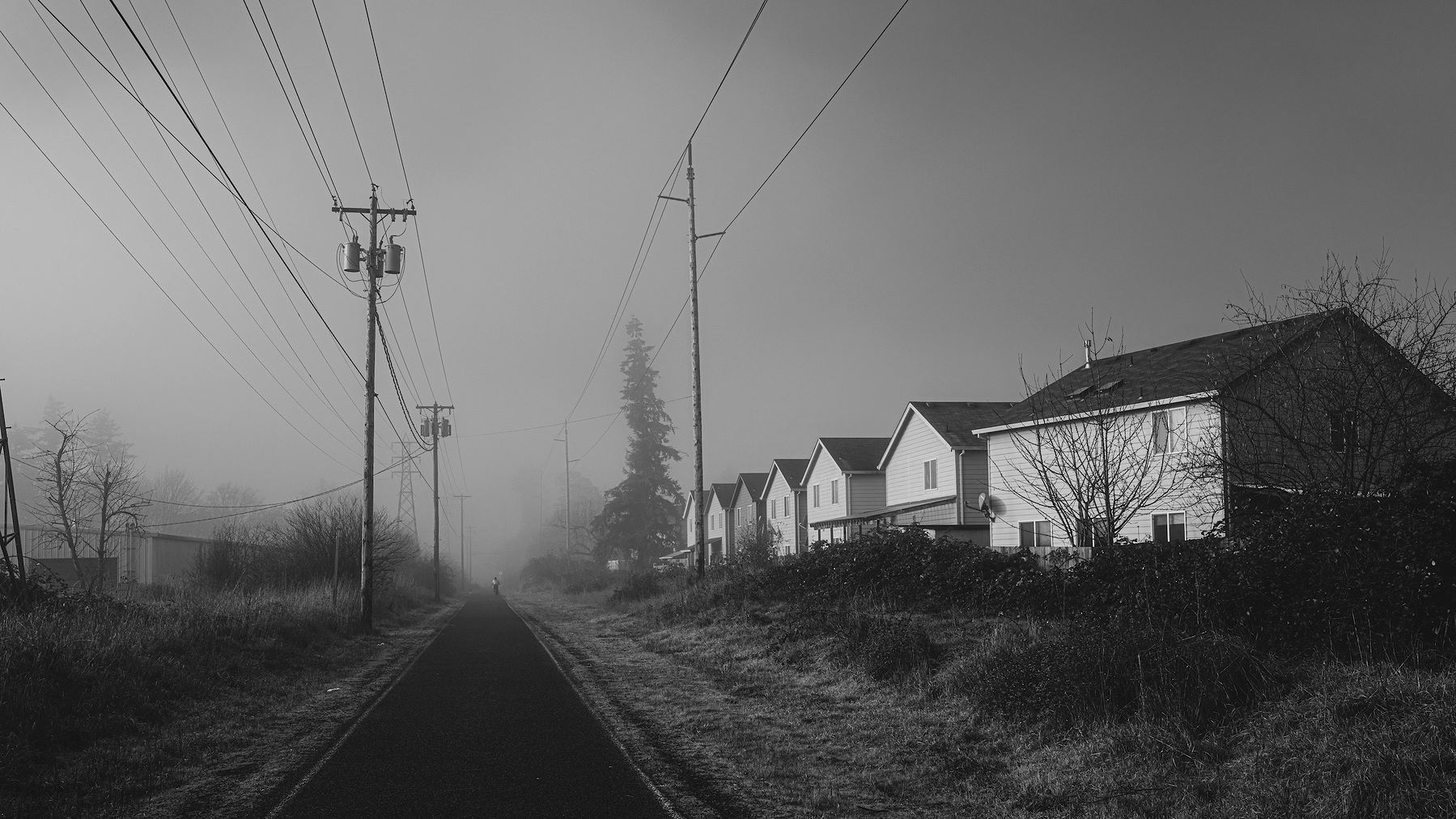 2020112911585096 3309954855980953 L1000385