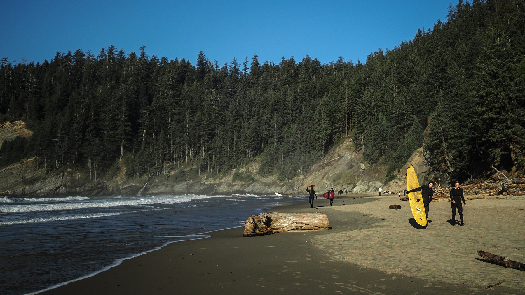 Surfers carry their boards along a sandy beach surrounded by forested cliffs under a clear blue sky.