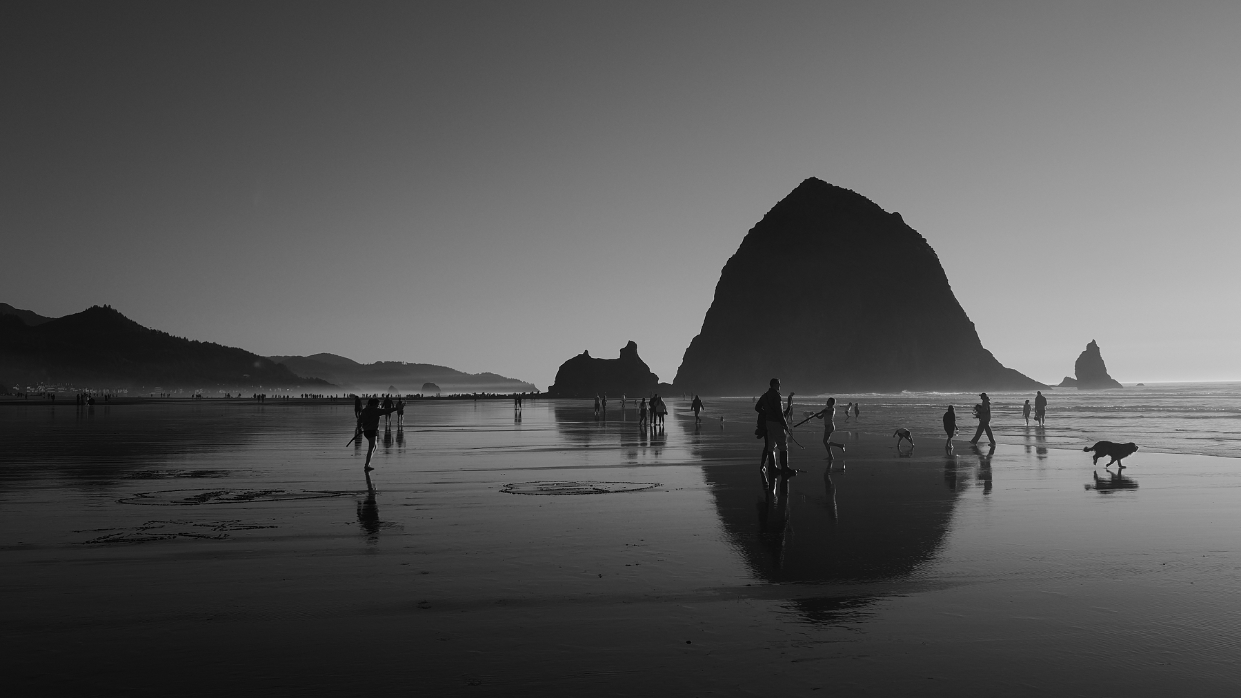 A serene beach scene captures silhouettes of people and a dog with the iconic Haystack Rock in the background.